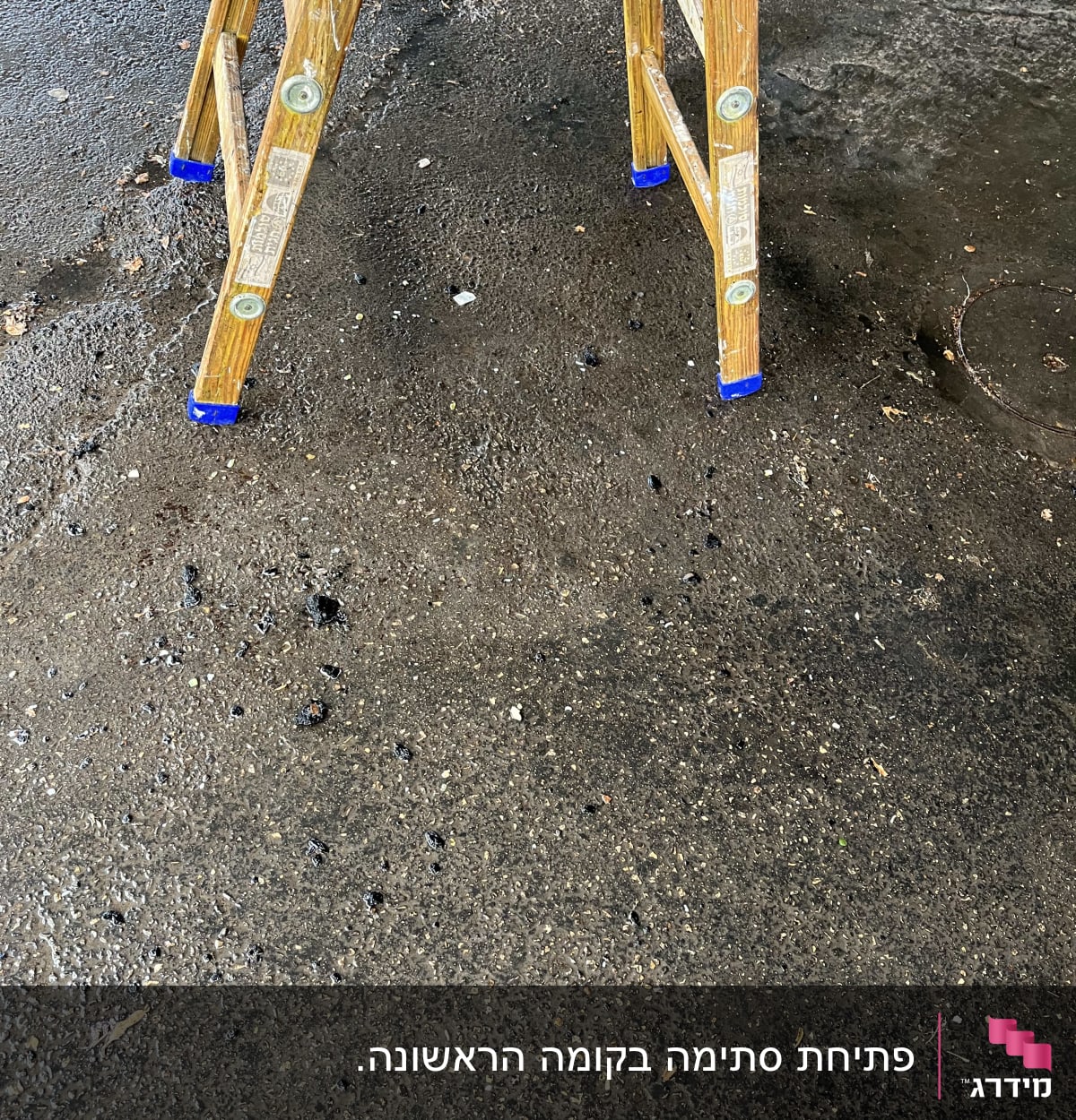 סולם עץ עם רגליות כחולות על רצפה רטובה